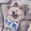 书友52889