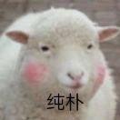 树袋熊的小木屋