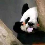 一个人