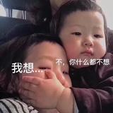 冉冉升起
