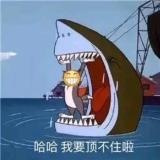 人生如戏