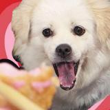 姜圆姿