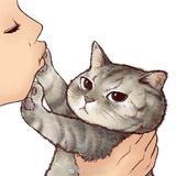 望着云