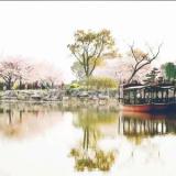白云和黑土9