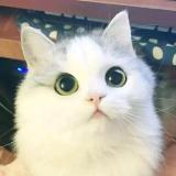 吃货