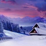 梦中的西雅图11