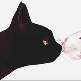 南叔