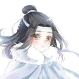 逢乱必出含光君