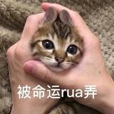 素色唯殇