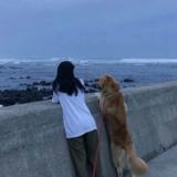 彩虹糖圈住次元壁