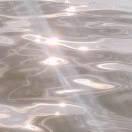 椰菠味的赞赞兔