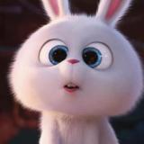 小兔☆纸☆乖乖゜