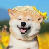 优优
