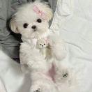 Luo_yyy