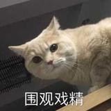 该吃药了