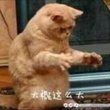 书友94123