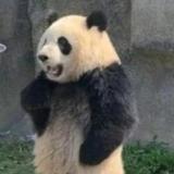 別說梦想遥不可及。