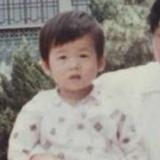 泰迪熊