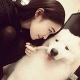 醉里挑灯看美人