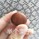宅居士