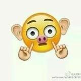 剪呀剪呀剪羊毛