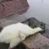 一路向东