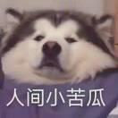 书友51760