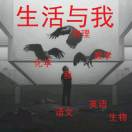 书友85073