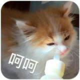 亓陌_佳