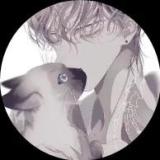 书友40246