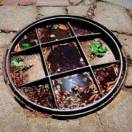 a    火锅炒料  匡鹏成