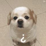 女亭?