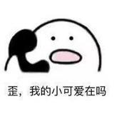 十七