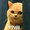 书友94154