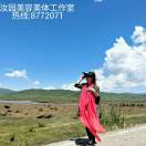 书友40192
