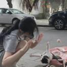 爱吃荔枝的李李