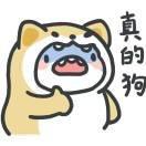 书友24857