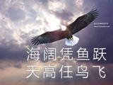 喵喵～