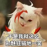 黄芪当归不加糖