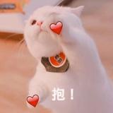 菜菜菜三心