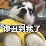 白云的云