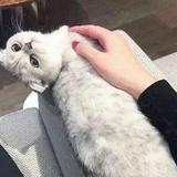 文華丫