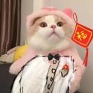 那退