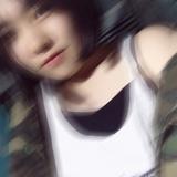 屋顶的猫