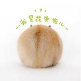 窈屿拥烟