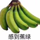 A 请家属抬走