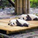 右手舞着剑