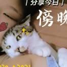 傍傍