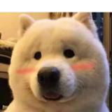 明白越多越懂得敬畏