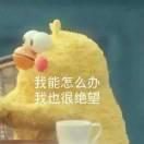 扶竹